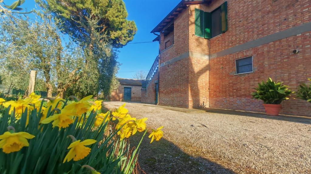 a bunch of yellow flowers in front of a brick building at Casa Algherini in Borghetto