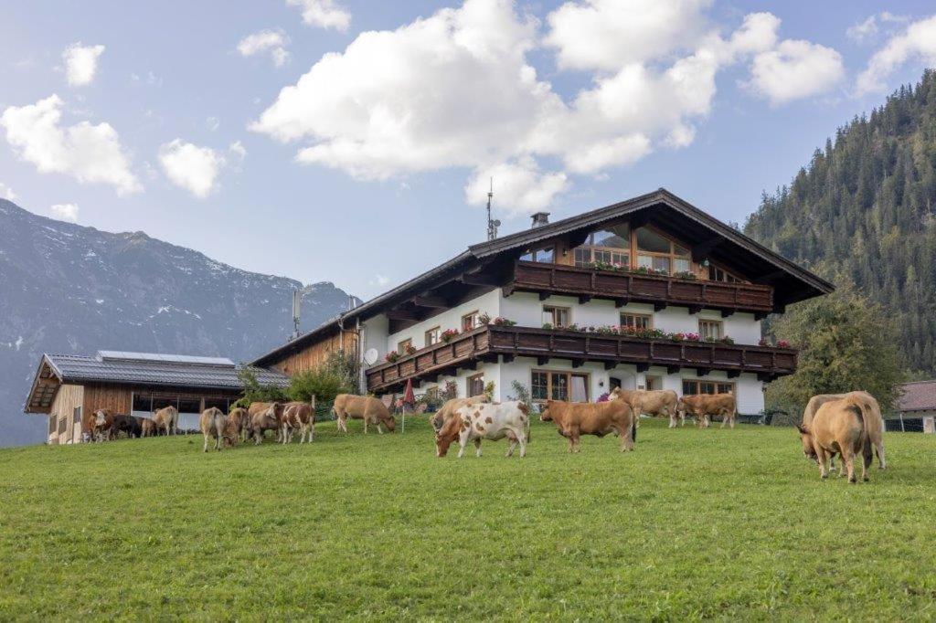 a herd of cows grazing in a field in front of a building at Bommerhof in Waidring
