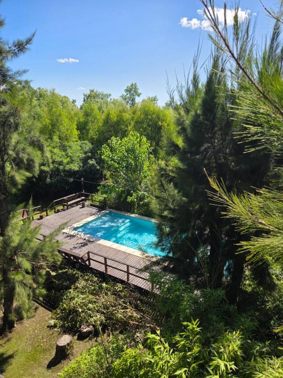 a swimming pool in the middle of a forest at Cabañas Amo Río - Delta in Tigre