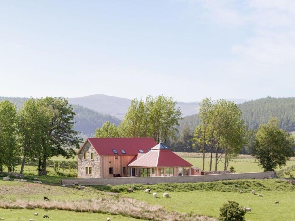 a house with a red roof in a field with sheep at Millbank in Ballindalloch