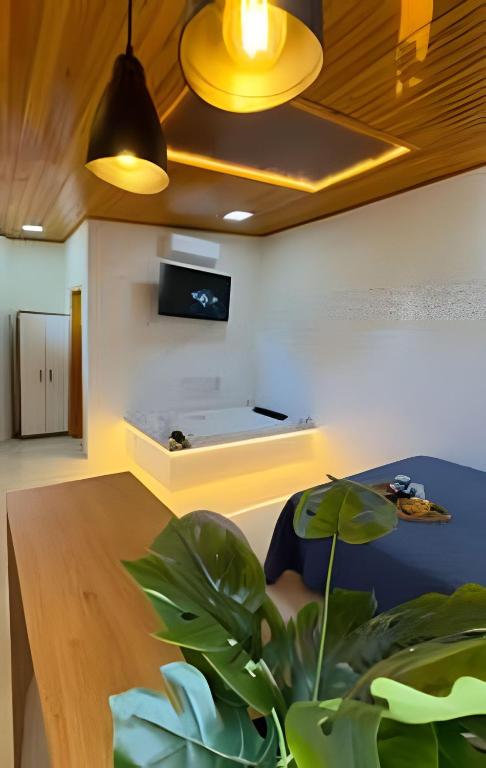 a room with a couch and a table with a plant at Suíte dos Sonhos-Climatizada,Hidromassagem,Garagem in Piratuba