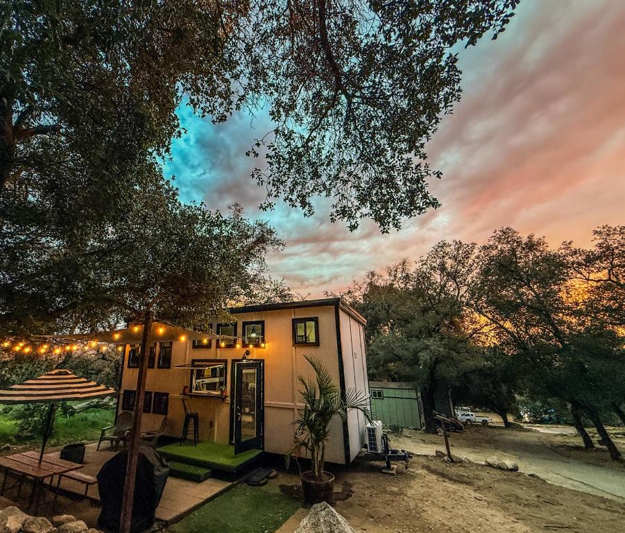 a tiny house with lights on it under a tree at The Sundance Tiny Home in Pauma Valley