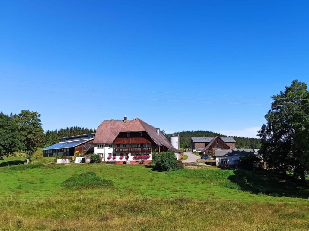 a barn in a field with a grassy field at Sugar Farm Weideblick in Sankt Georgen im Schwarzwald