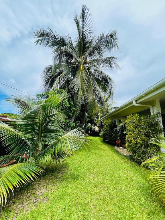 Kovivi Lodge - Punaauia avec plage à proximité - photo 10 - Tahiti, Polynésie