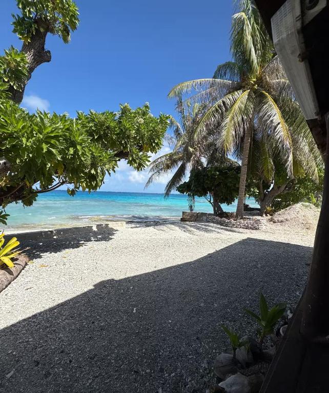 a beach with a palm tree and the ocean at Chez Aroro Beach House in Avatoru
