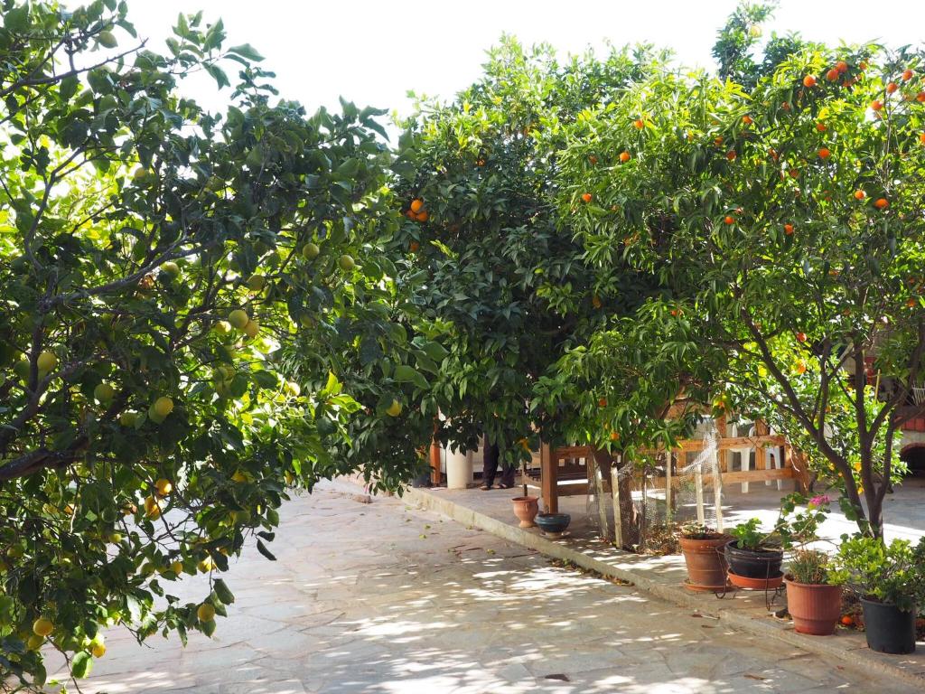 Castle By The Sea - 19