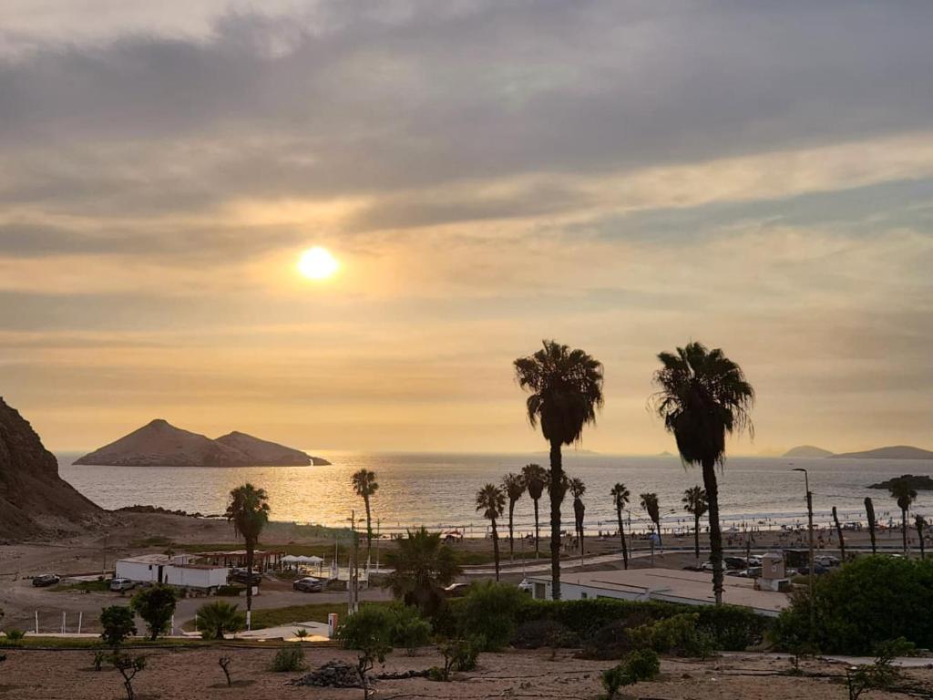 a group of palm trees in front of the ocean at Casa Arena & Sol in Santa Rosa