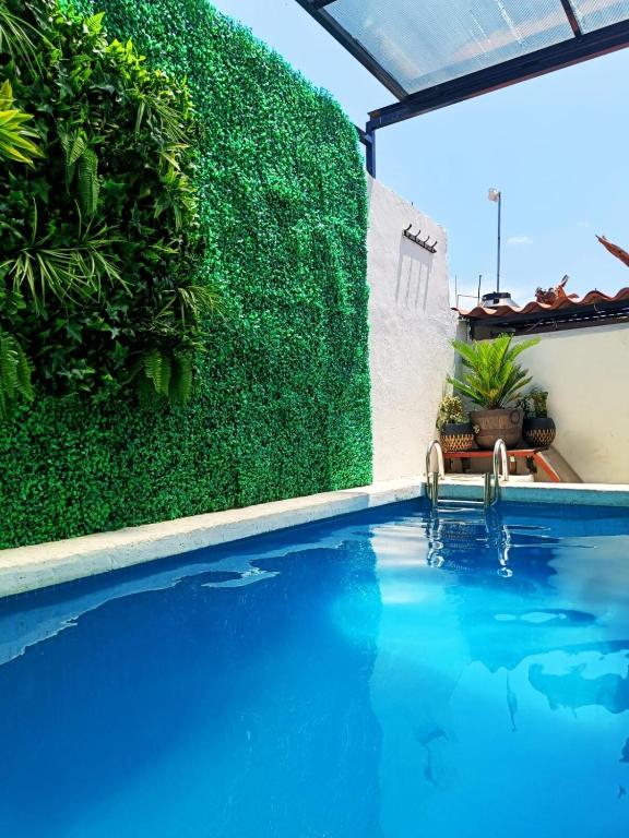 a swimming pool in front of a green wall at descanso ideal con alberca in Cihuatlan