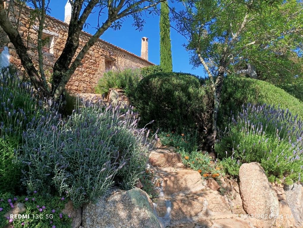 a garden with flowers and plants in front of a building at holiday home su Niberalzu in Monti