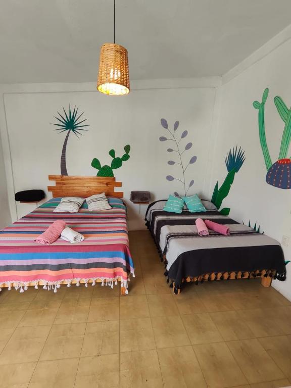 Hostel Casa Maguey - Habitación Doble