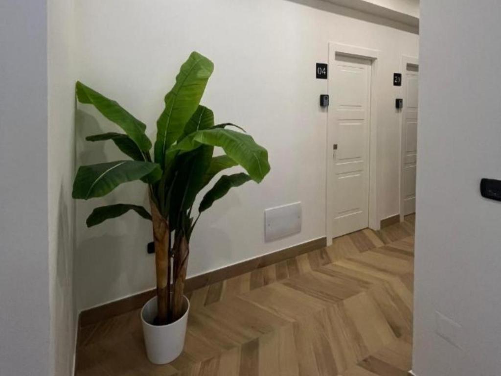 a potted plant in a room with a hallway at B&B La Rotonda in Frattamaggiore