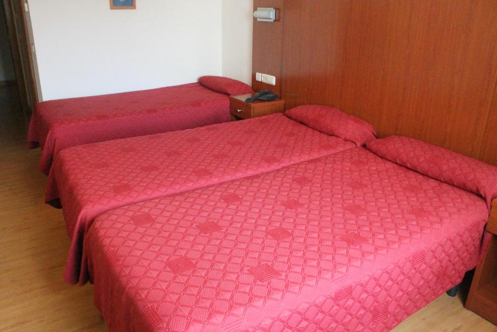 Hotel Agorreta - Tweepersoonskamer Met 2 Aparte Bedden