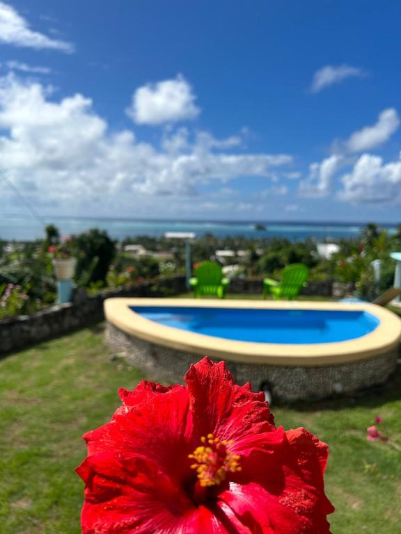 Raiatea Bellevue, Uturoa - photo 9 - Raiatea, Polynésie