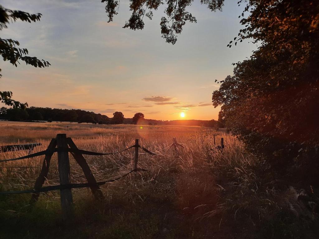 a fence in a field with the sunset in the background at Ferienhaus in Clenzer Schweiz in Clenze