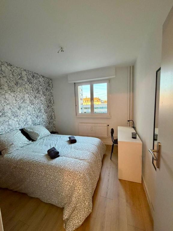 Hyper centre Mulhouse 107m - 4 chambres confort – photo 8