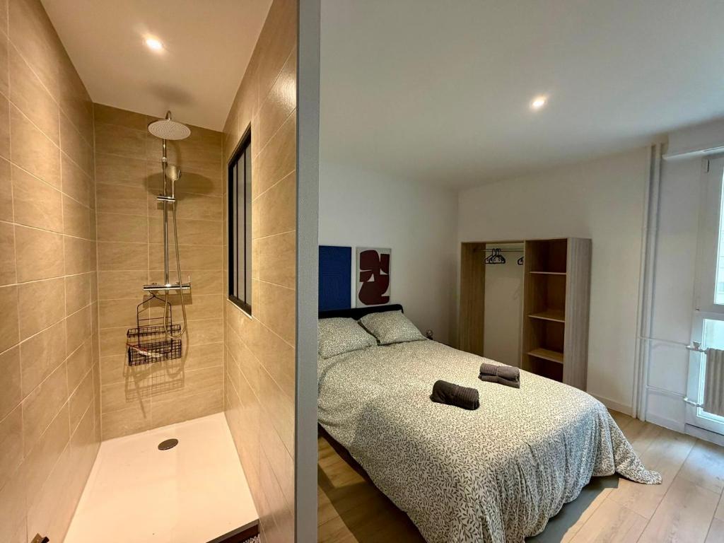 Hyper centre Mulhouse 107m - 4 chambres confort – photo 3