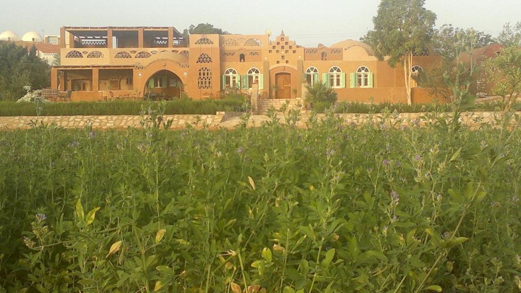 Giardino di Eskaleh Eco-Lodge