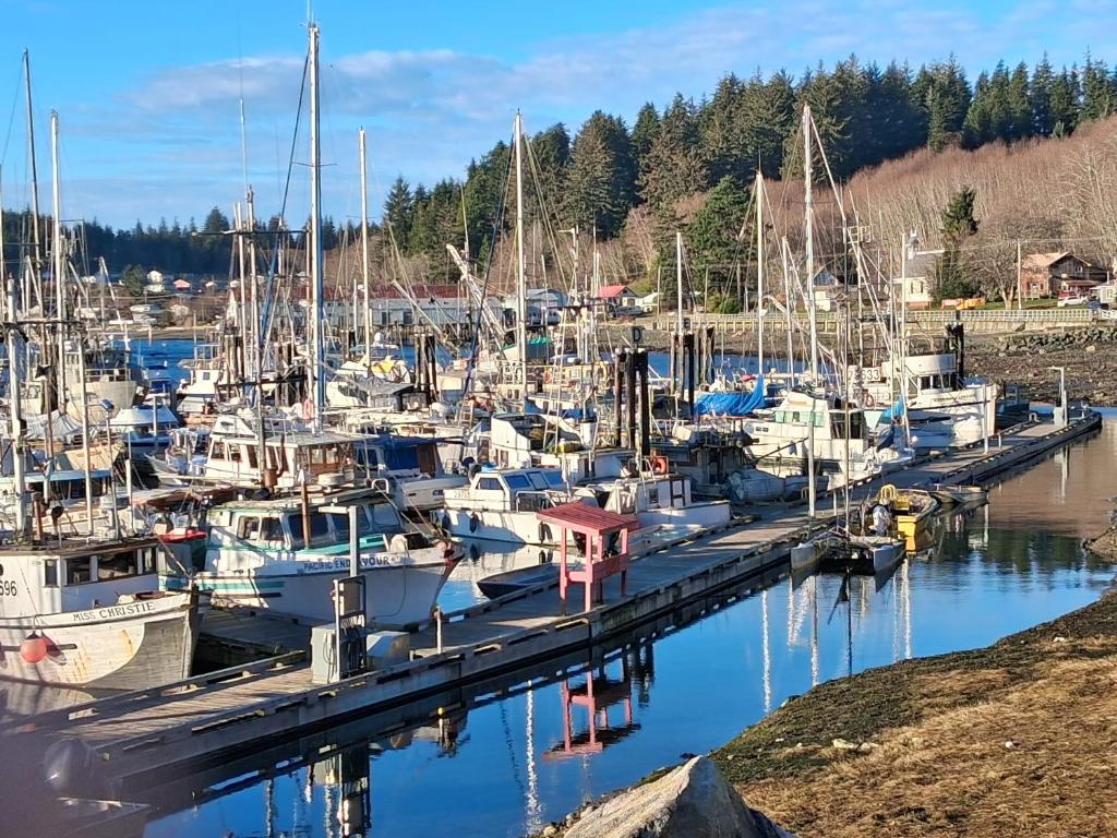 a group of boats docked at a marina at The Orca Inn in Alert Bay
