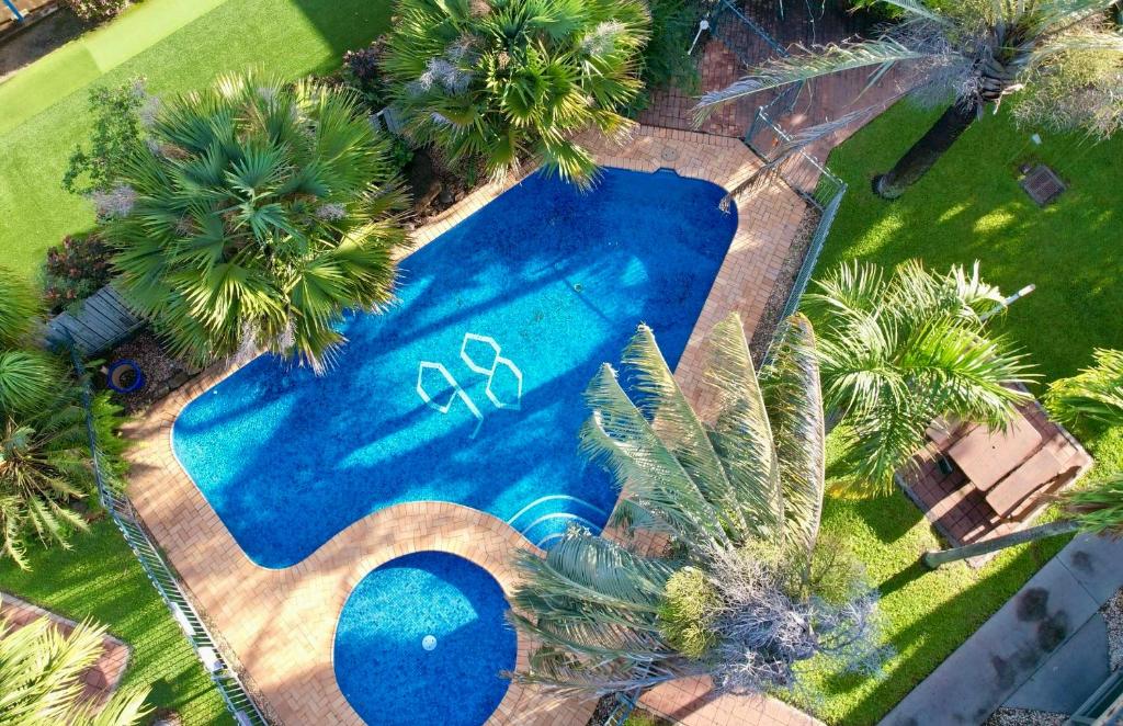 an overhead view of a swimming pool with palm trees at Motel 98 in Rockhampton