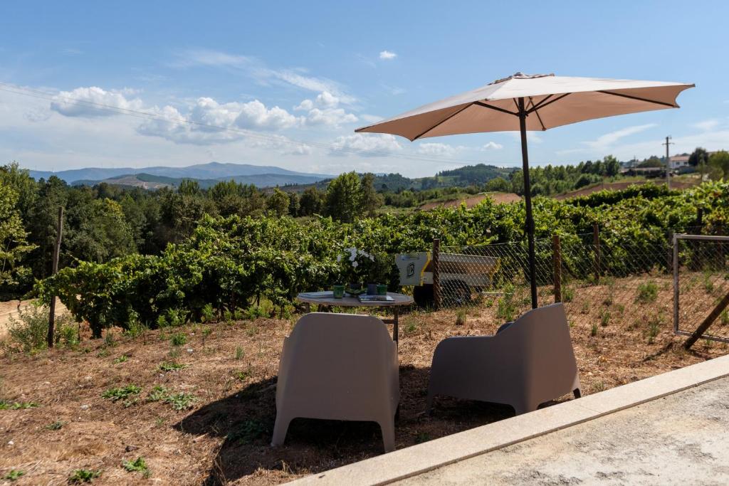 a table and two chairs and an umbrella in a vineyard at Casa Fermil da Graça in Veade