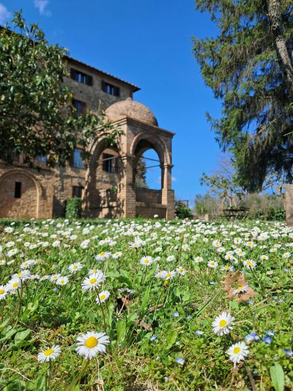 a field of flowers in front of a building at CasaLeTolfe Residence in Siena