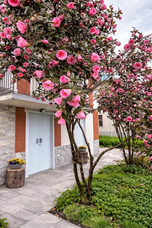 a tree with pink roses in front of a house at DooR48 in Novara