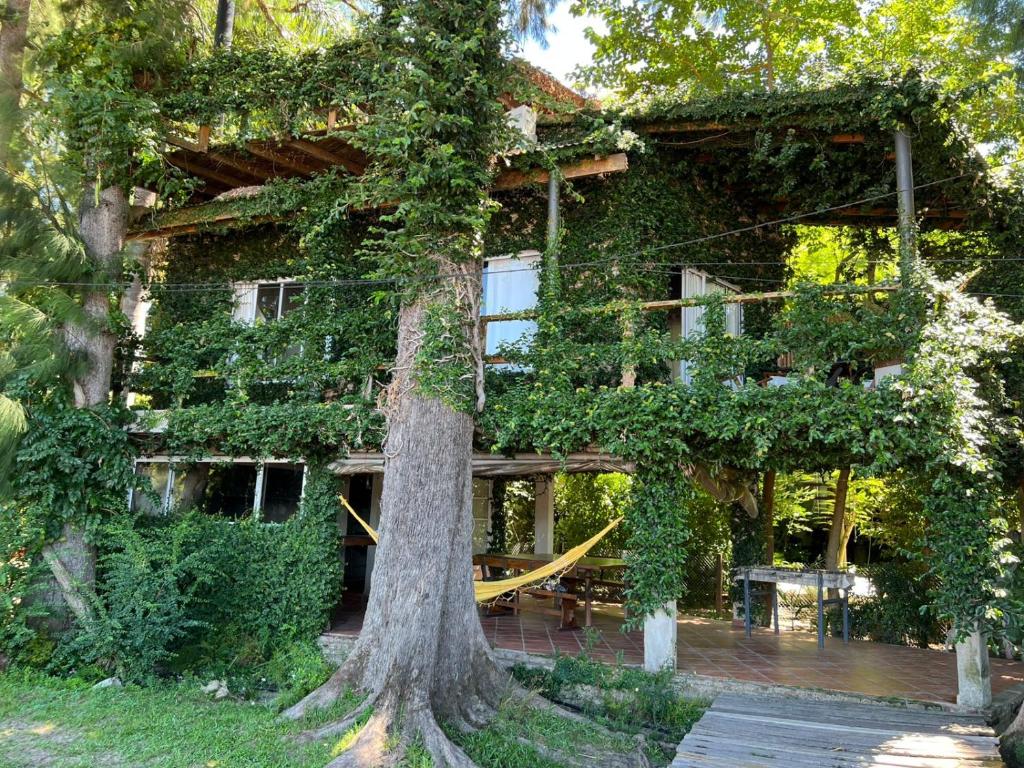 a building covered in ivy with a tree at Isla Casinha Delta Tigre in Tigre