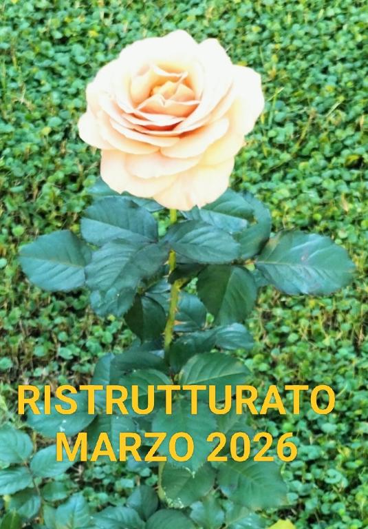 a pink rose with the words institution marzano at Bilocale Le Rose in Vada