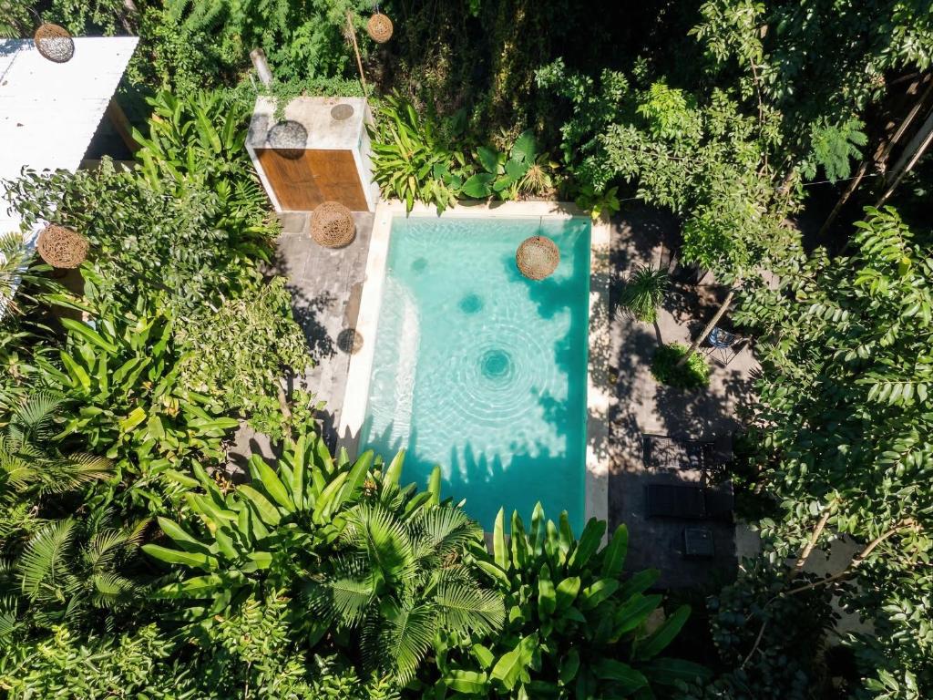 an overhead view of a swimming pool surrounded by trees at Yaakun in Bacalar