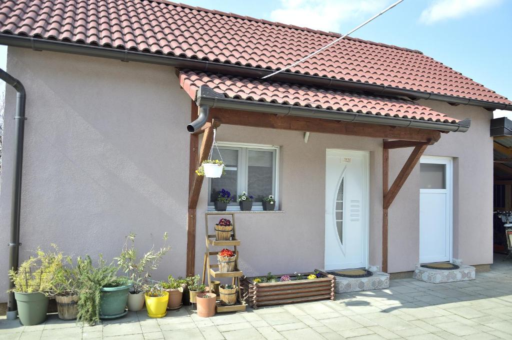 a house with a porch with potted plants at MM Studio in Donji Miholjac