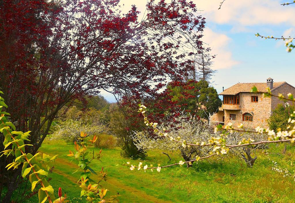 a house on a hill with a yard with trees at Casa Rural La Gustoza in Sauzal