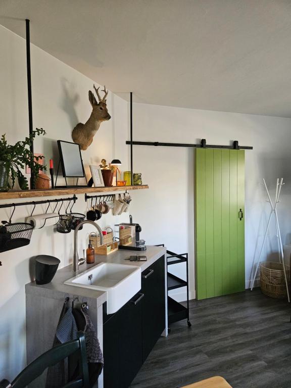 a kitchen with a green door and a sink at 't Rheebokje in Uddel