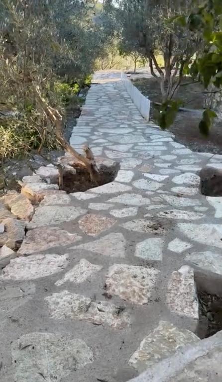 a stone path with trees on the side of it at Olive Stone Villa in Sarandë