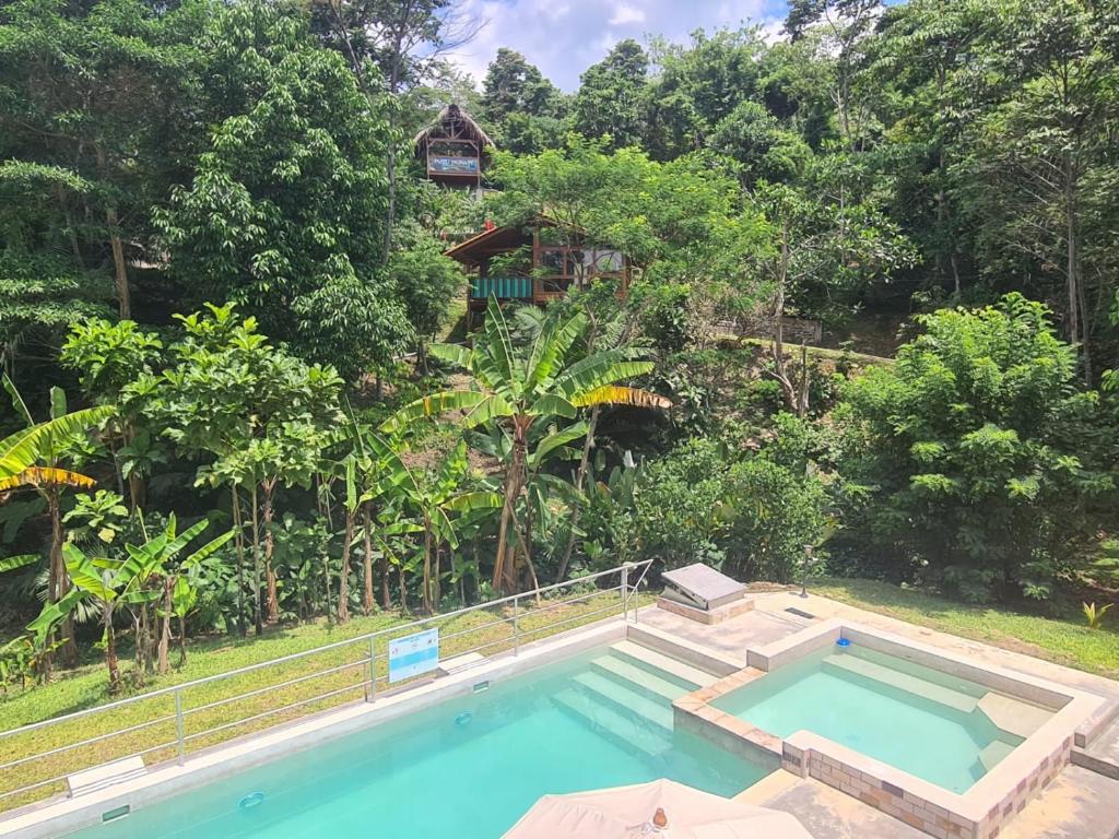 a swimming pool in front of a house with trees at MAYU PATANPI Amazon Lodges in Tarapoto