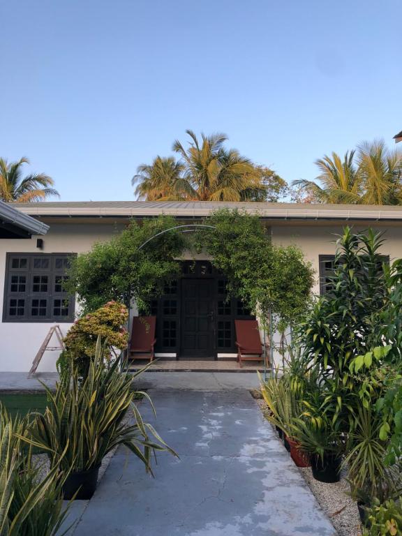 a house with two chairs in front of it at Thresher shark inn in Fuvahmulah