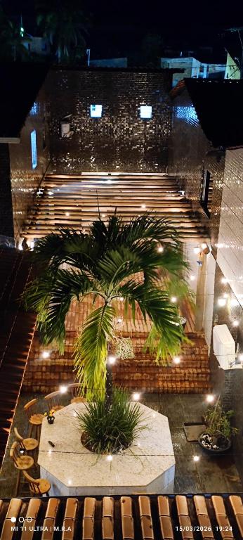 a palm tree in front of some stairs at night at Kitnet Diskbeer in Itaparica