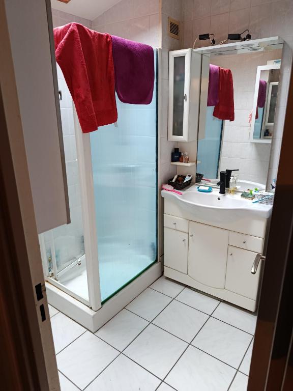 a bathroom with a shower and a sink at Duplex 95m2 Annecy in Annecy