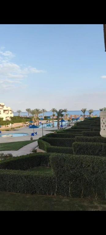a view of a park with bushes and the ocean at شاليهات للايجار بالعين السخنه in Kafr Rāshid