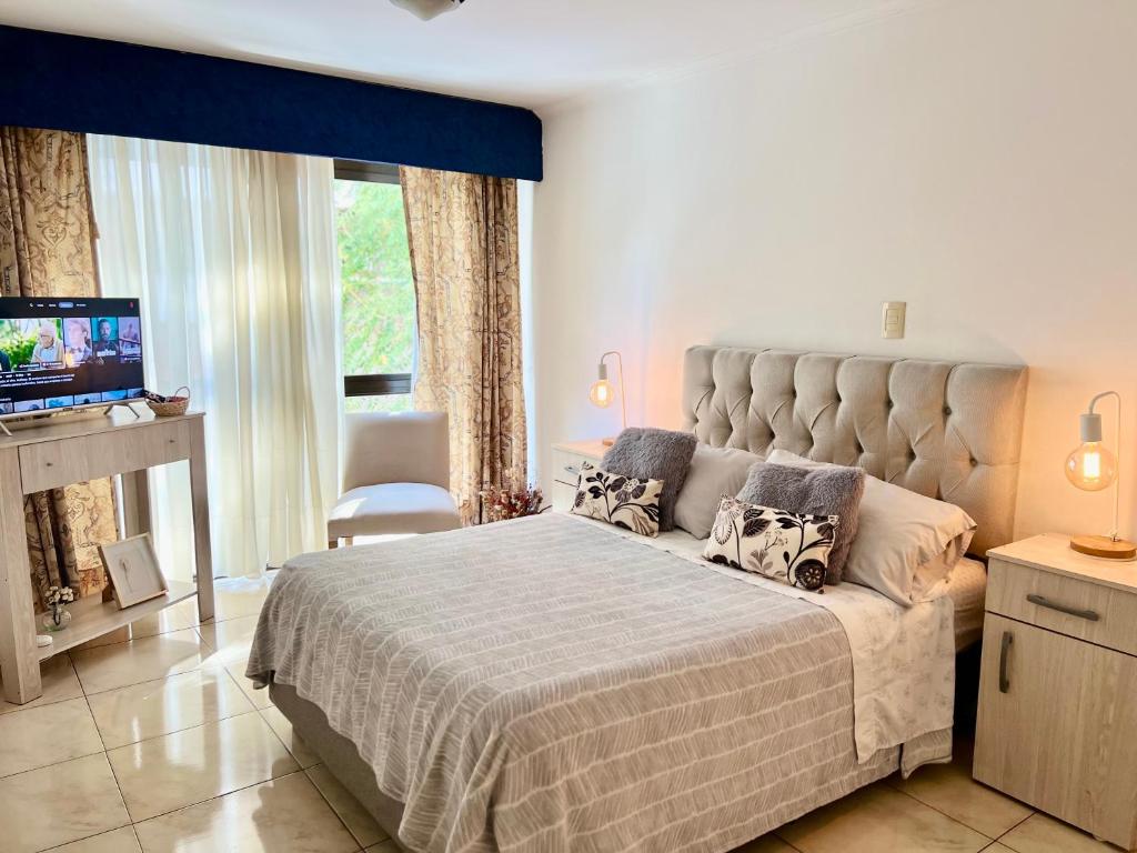 a bedroom with a large bed and a television at MENDOZA Suites 1 -con estacionamiento opcional- in Mendoza
