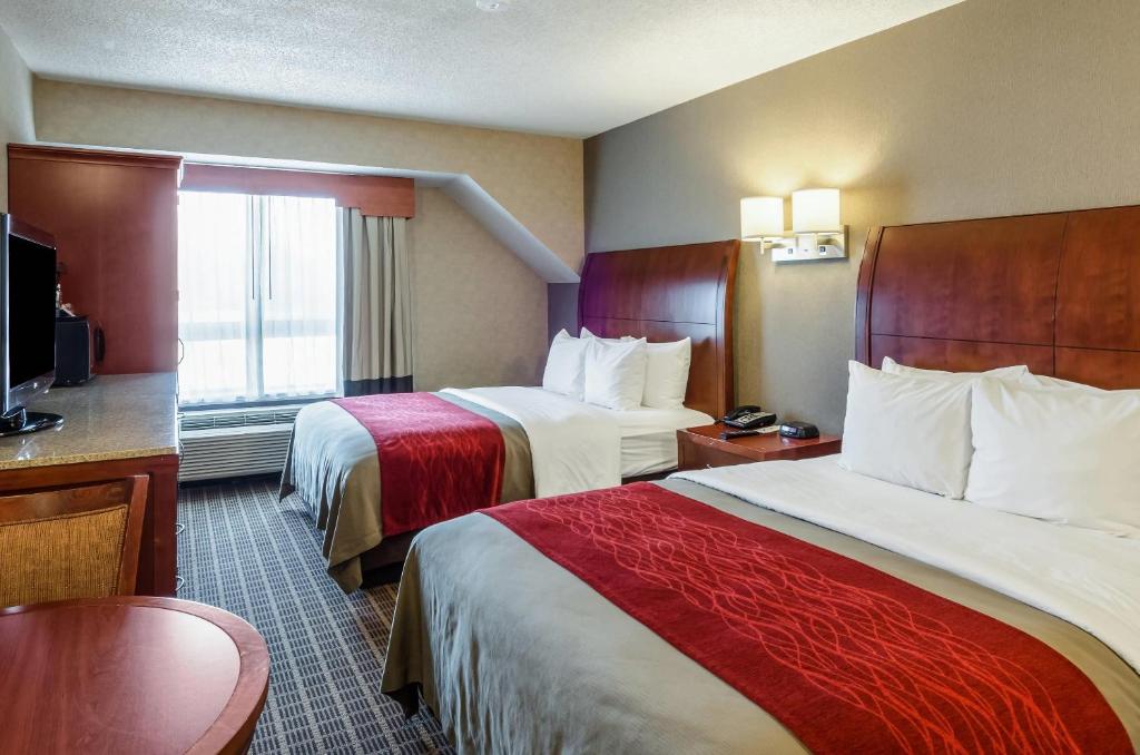 Comfort Inn & Suites West Springfield photo