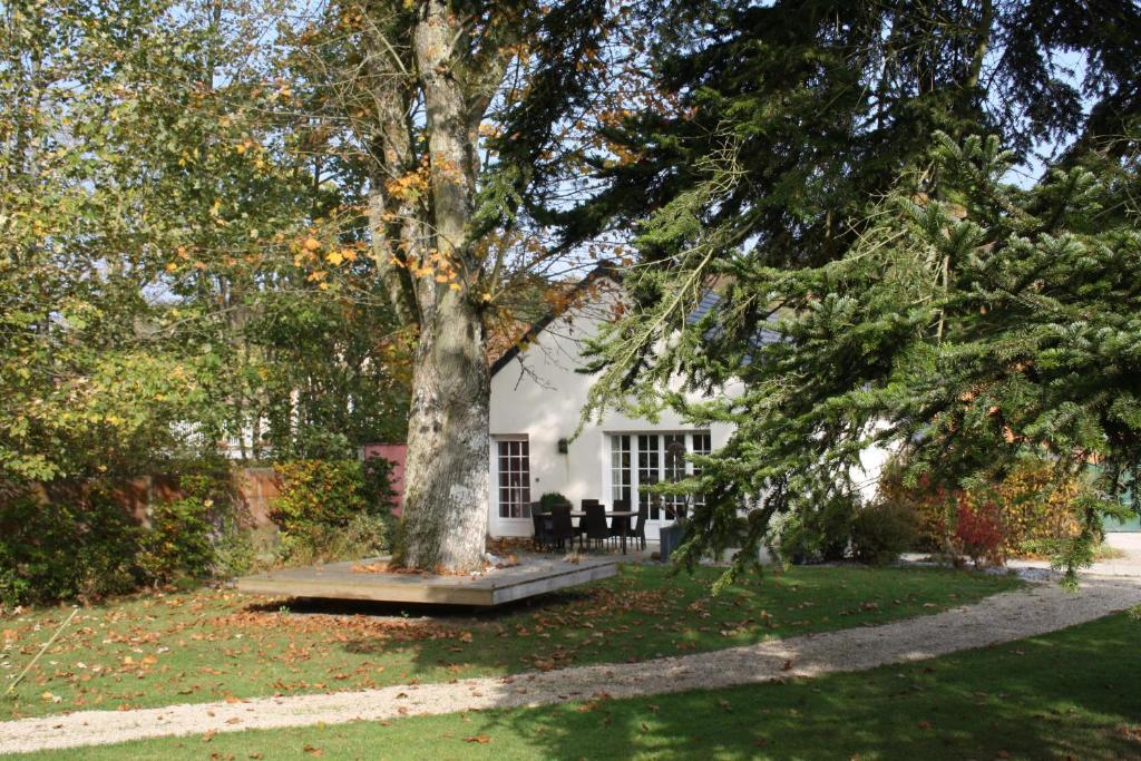 a white house with a tree in the yard at Gîte Nature en Champagne entre Reims et Epernay in Germaine