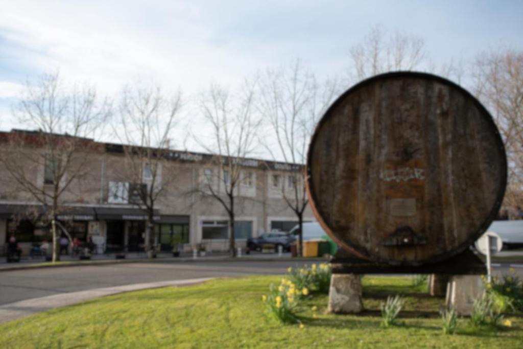 a large object sitting in the grass near a street at Pension y Apartamentos Txingurri Experience in Astigarraga