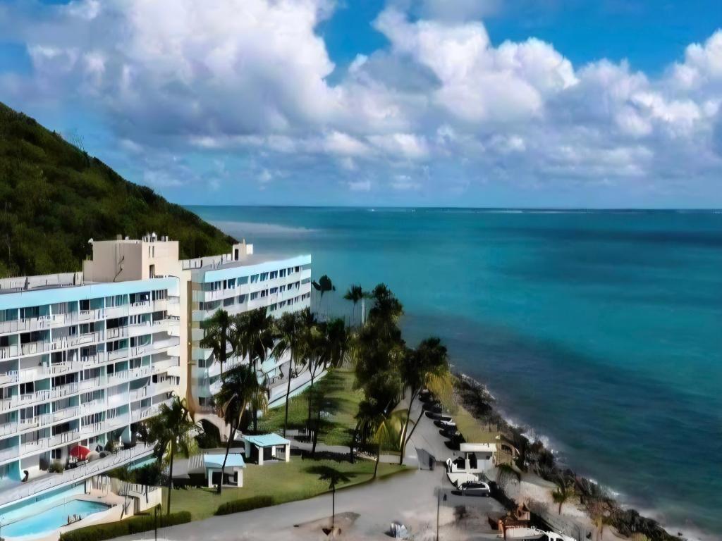 Paisatge natural a prop de l'apartament