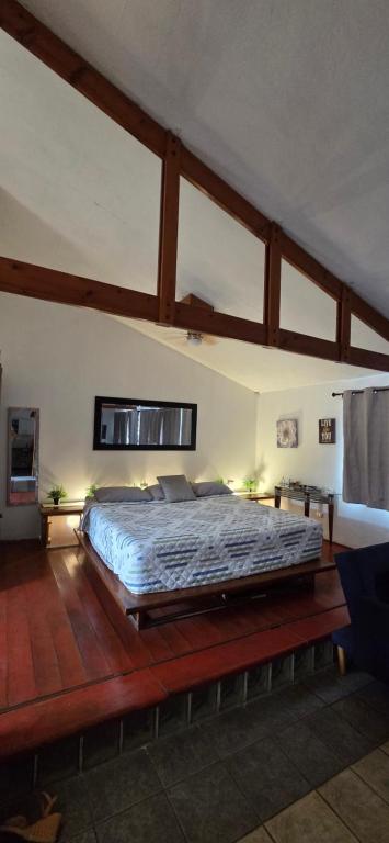 a bedroom with a large bed in a room at Private Apt, AC, Jacuzzi, parking Centro in Escuintla