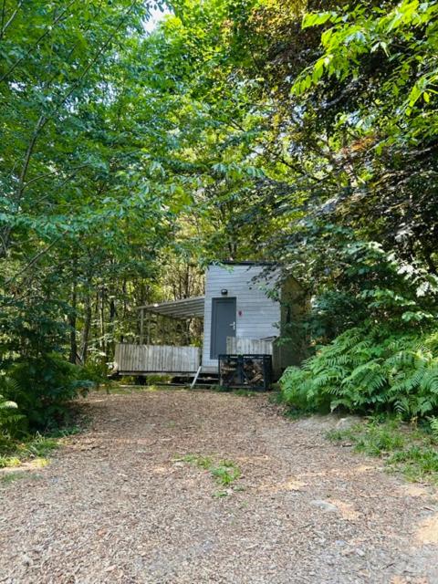 ein weißes Haus mitten in einem Wald in der Unterkunft Tiny de Paula in Saint-Hubert