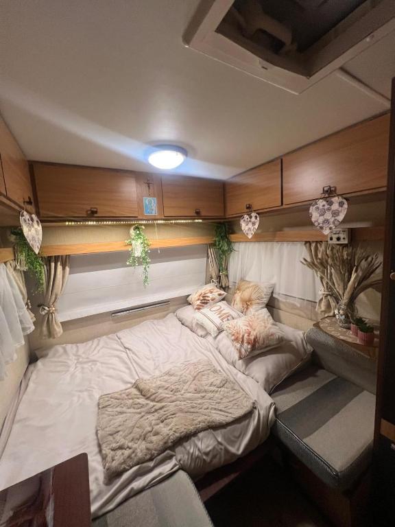 a room with two beds in it with plants at Przyczepa BOHO in Ciężkowice