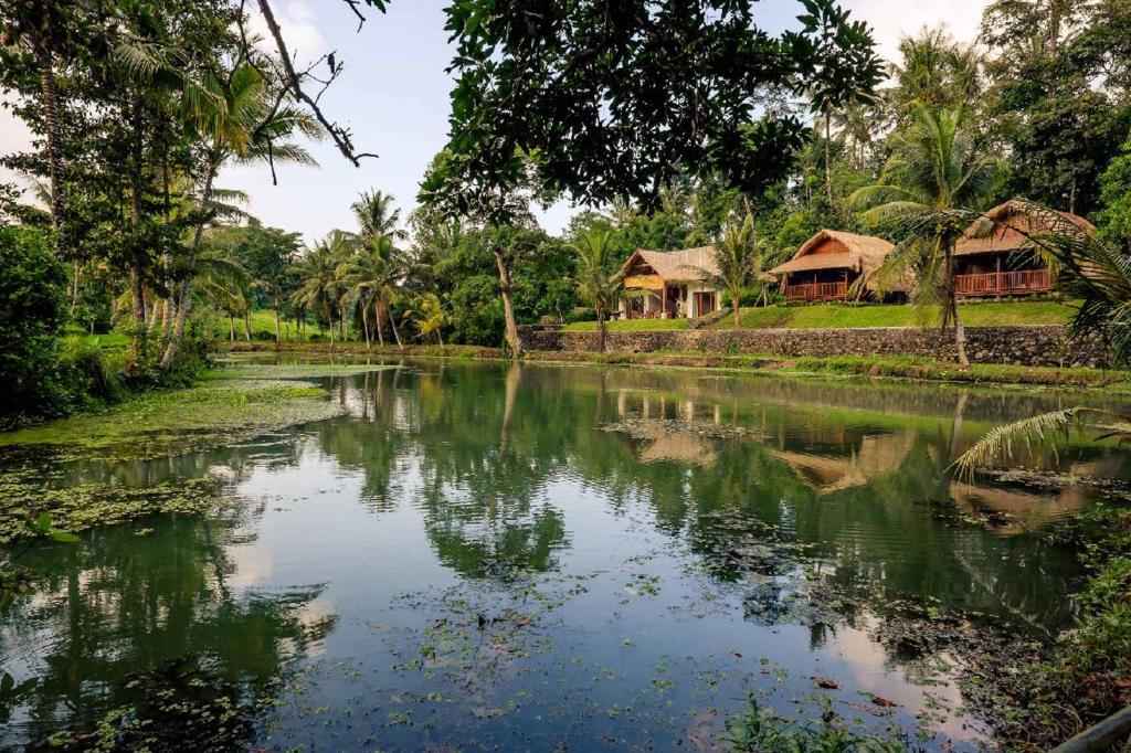 einen Fluss in einem Dorf mit Häusern und Bäumen in der Unterkunft Alam Taman Villa in Tabanan