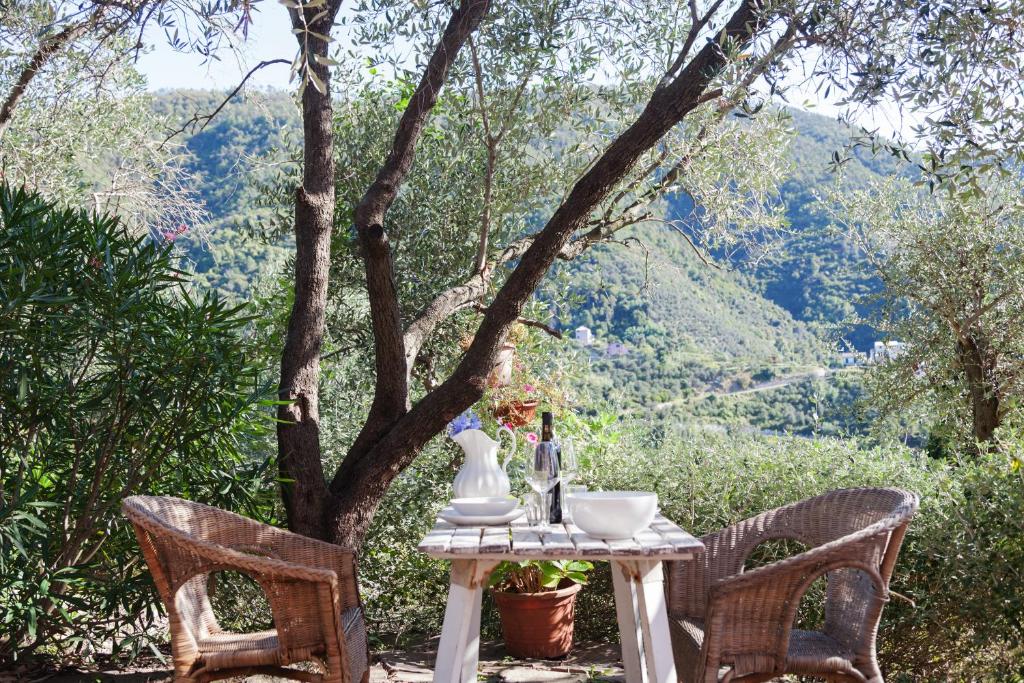 einen Tisch und Stühle mit Blick auf einen Baum in der Unterkunft Casa degli Archi in Levanto