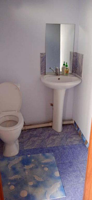 a bathroom with a toilet and a sink at Лазурит in Tamga