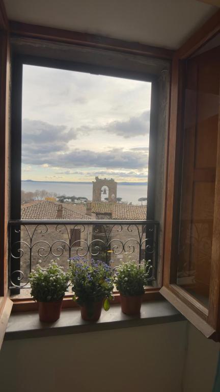 a window with three potted plants on a window sill at Residenza Caterina in Bolsena